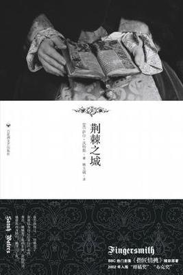 《荆棘之城》萨拉·沃特斯/一切都非苏想像的那般简单/epub+mobi+azw3插图