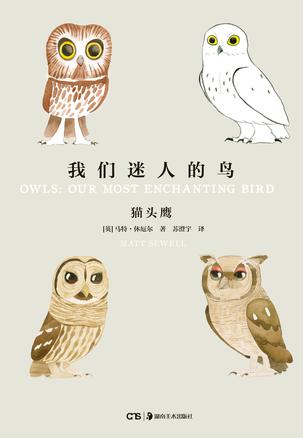 《我们迷人的鸟：猫头鹰》马特·休厄尔/鸟类爱好者/epub+mobi+azw3插图