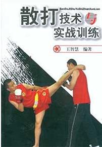 《散打技术与实战训练》PDF扫描版&重点面向散打初学者教程插图
