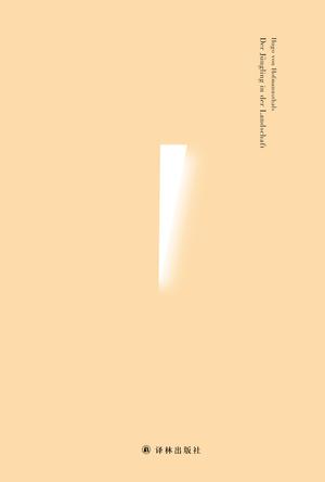 《风景中的少年》霍夫曼斯塔尔/为国内首次全面译版本/epub+mobi+azw3插图