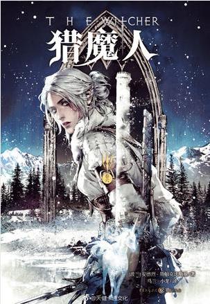 安德烈·斯帕克沃斯基《猎魔人·其六：雨燕之塔》epub+mobi版插图