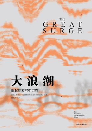 《大浪潮》斯蒂芬·拉德勒/发展中国家中成为一种常态/epub+mobi+azw3插图