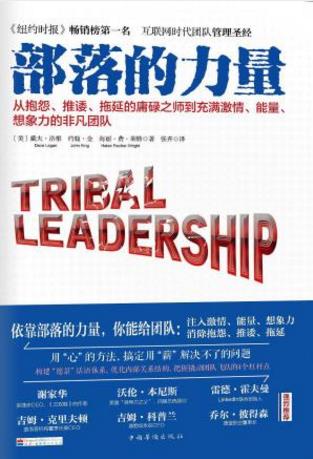 戴夫·洛根《部落的力量》一群人凝聚一整体epub+mobi+azw3插图