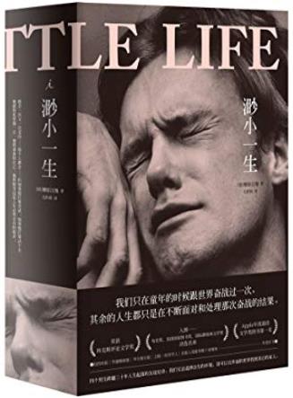 《渺小一生》[上下]柳原汉雅/外面世界找到真正家人/epub+mobi+azw3插图