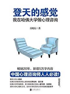 《登天的感觉》岳晓东/涉及爱情婚姻职业选择同性恋/epub+mobi+azw3插图