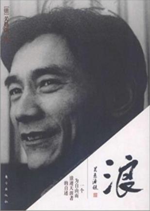 关愚谦《浪:一个为自由而浪迹天涯者的自述》epub+mobi+azw3插图