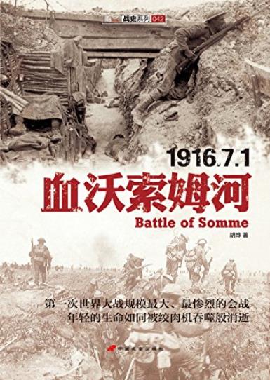 《血沃索姆河》胡烨/第一次世界大战中索姆河战役/epub+mobi+azw3插图