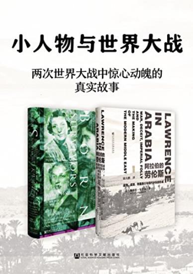 《小人物与世界大战》[2册]/阿拉伯劳伦斯+天生幸存者/epub+mobi+azw3插图