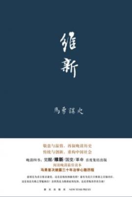 《维新》马勇/清政府再一次跌入黑暗的深渊/epub+mobi+azw3插图