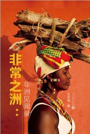王兆桂《非常之洲:非洲见闻录》所交往的非洲人epub+mobi+azw3插图