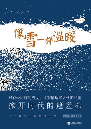 《像雪一样温暖》王大进/从容的笔墨揭示各种社会矛盾/epub+mobi+azw3插图