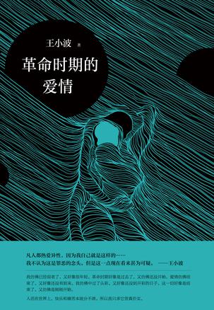 《革命时期的爱情》王小波/我不认为这是罪恶的念头/epub+mobi+azw3插图