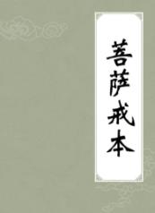《菩萨戒本》此戒本乃大乘圆戒所依准之戒本/epub+mobi+azw3插图