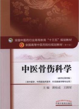 《中医骨伤科学》黄桂成/新世纪第四版/epub+mobi+azw3插图