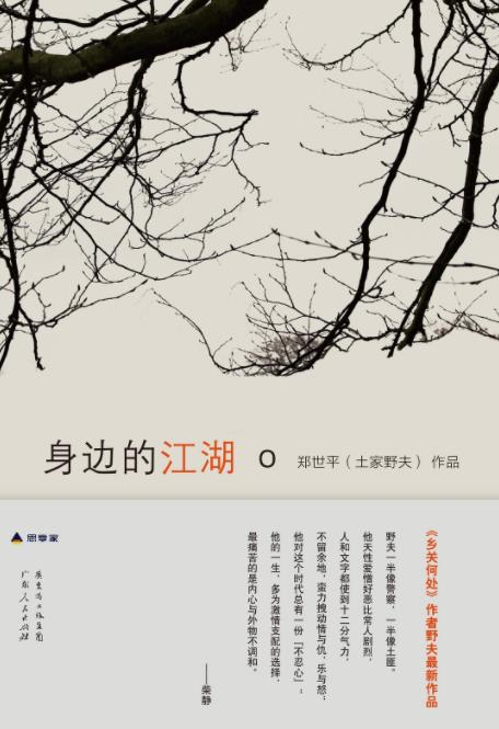 《身边的江湖》郑世平/文字凝练具极强的感染力/epub+mobi+azw3插图