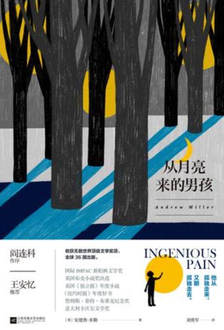 《从月亮来的男孩》安德鲁米勒/给成年人的伤痕童话/epub+mobi+azw3插图