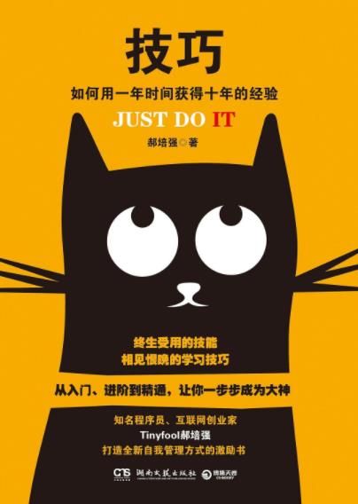 郝培强《技巧》如何用一年时间获得十年的经验epub+mobi+azw3插图