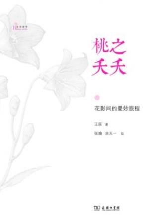 王辰《桃之夭夭：花影间的曼妙旅程》自然感悟epub+mobi+azw3插图
