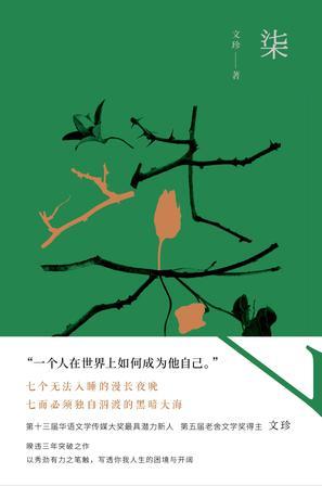 文珍《柒》一个人在世界上如何成为自己epub+mobi+azw3版电子书插图