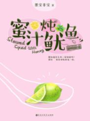 《蜜汁炖鱿鱼》墨宝非宝/从没想到会对一人一见钟情/epub+mobi+azw3插图