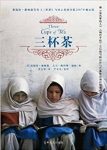 《三杯茶》葛瑞格·摩顿森/摩森顿于攀登K2峰迷路/epub+mobi+azw3缩略图