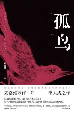麦洛洛《孤鸟》白描孤儿群生像现实世界的悲凉缩影epub+mobi+azw3插图