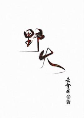 《野火》云拿月/讲述了两个家庭与不同人的人生路径/epub+mobi+azw3插图