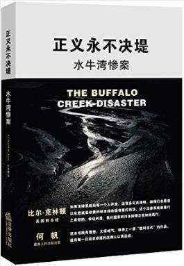 斯特恩《正义永不决堤：水牛湾惨案》epub+mobi+azw3版插图