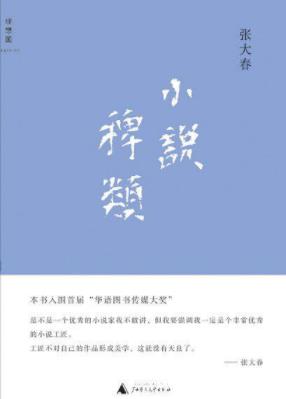 《小说稗类》张大春/引起小说界和学界的瞩目/epub+mobi+azw3插图