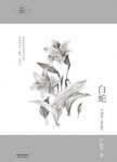 《白蛇》[文集]严歌苓/经典中短篇小说自选定/epub+mobi+azw3缩略图