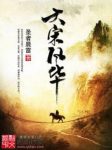 《大宋风华》圣者晨雷/站在历史的十字路口目光坚毅/epub+mobi缩略图
