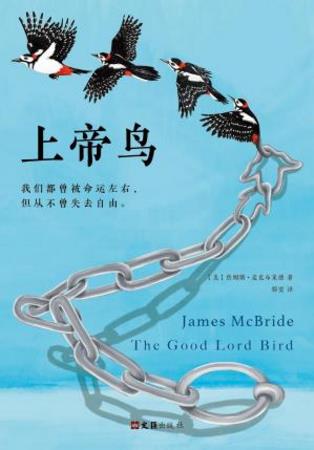 詹姆斯·麦克布莱德《上帝鸟》（精制多看版）epub+mobi插图