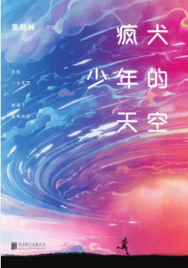 《疯犬少年的天空》里则林&带你回味成长中日子epub+mobi+azw3插图