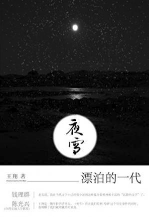 王翔《夜雪》精神流浪汉生活后的结晶epub+mobi+azw3插图