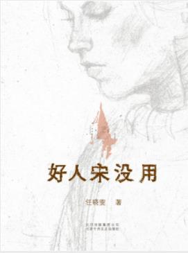 任晓雯《好人宋没用》苏北女人艰辛打拼epub+mobi+azw3插图