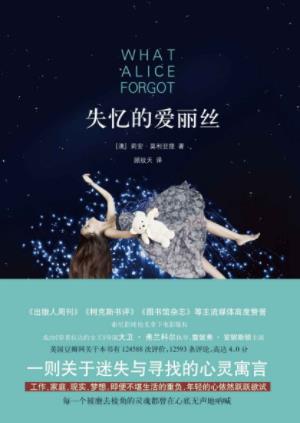 莉安·莫利亚提《失忆的爱丽丝》寻找心灵寓言epub+mobi+azw3插图