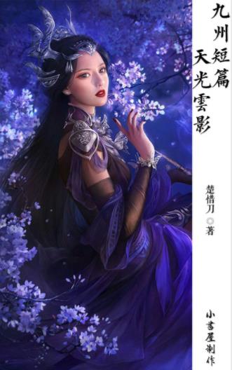 楚惜刀《九州短篇·天光云影系列》共4册epub+mobi版下载插图