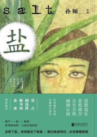 孙频《盐》作者生涯中最杰出的6个中篇作品epub+mobi+azw3插图