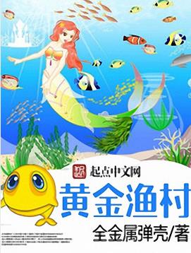 《黄金渔村》全金属弹壳/全新演绎一段经历更有趣/epub+mobi插图