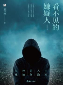 《看不见的嫌疑人》姜钦峰/深冬雨夜发生车祸/epub+mobi+azw3插图