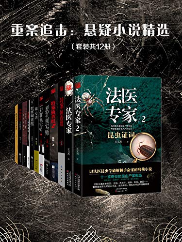 《重案追击：悬疑小说精选》王文杰/[套装共12册]/epub+mobi+azw3插图