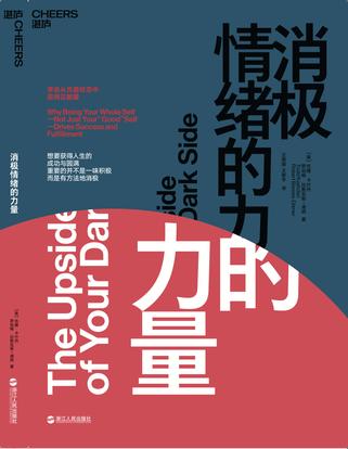 《消极情绪的力量》托德·卡什丹/为什么始终无法摆脱/epub+mobi+azw3插图