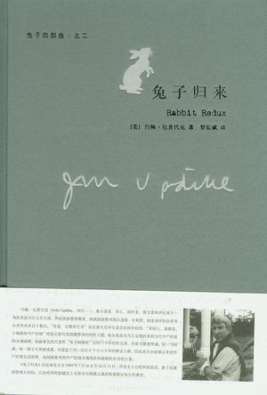 《兔子归来》约翰·厄普代克/妻子反离家跟情人同居/epub+mobi+azw3插图