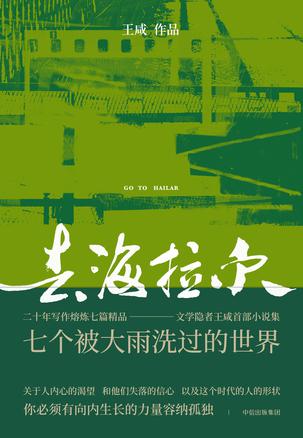 《去海拉尔》王咸/书中七个故事发生在城市中心或边缘/epub+mobi+azw3插图