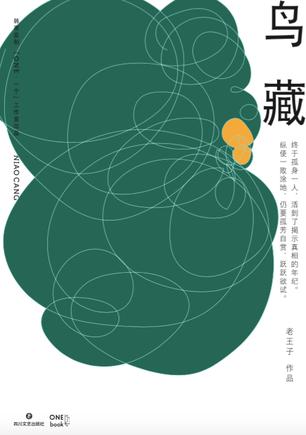 《鸟藏》老王子/像迷途者知晓方向造梦者时刻清醒一样/epub+mobi+azw3插图