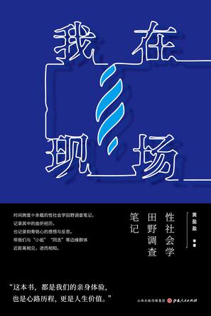 《我在现场》黄盈盈/跨度十余载性社会学田野调查笔记/epub+mobi+azw3插图