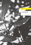 《白洋淀纪事》孙犁/被评为百年百种优秀中国文学图书/epub+mobi+azw3缩略图