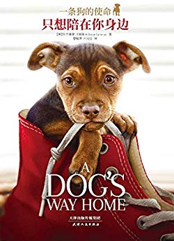 《一条狗的使命:只想陪在你身边》布鲁斯·卡梅隆/治愈/epub+mobi+azw3插图