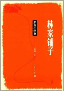《林家铺子》茅盾著/epub+mobi+azw3插图 《林家铺子》茅盾著/epub+mobi+azw3插图